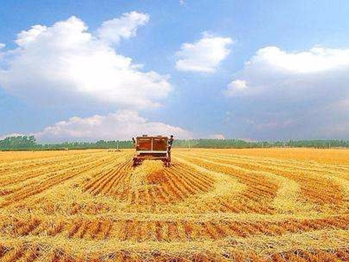 加大科技创新 助推农业强国建设